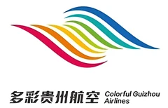 贵州机场集团 logo